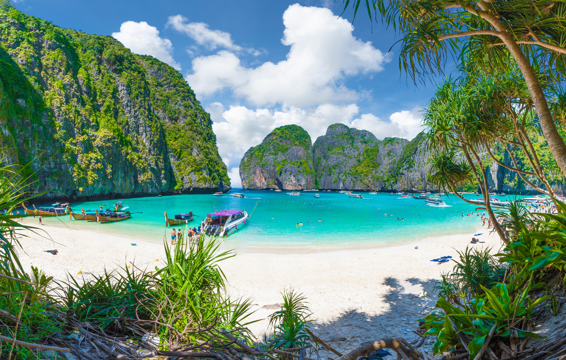 Phi Phi Island Tour